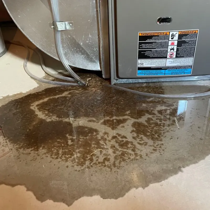 Pipe Burst and Leak Restoration in Beaver, WV
