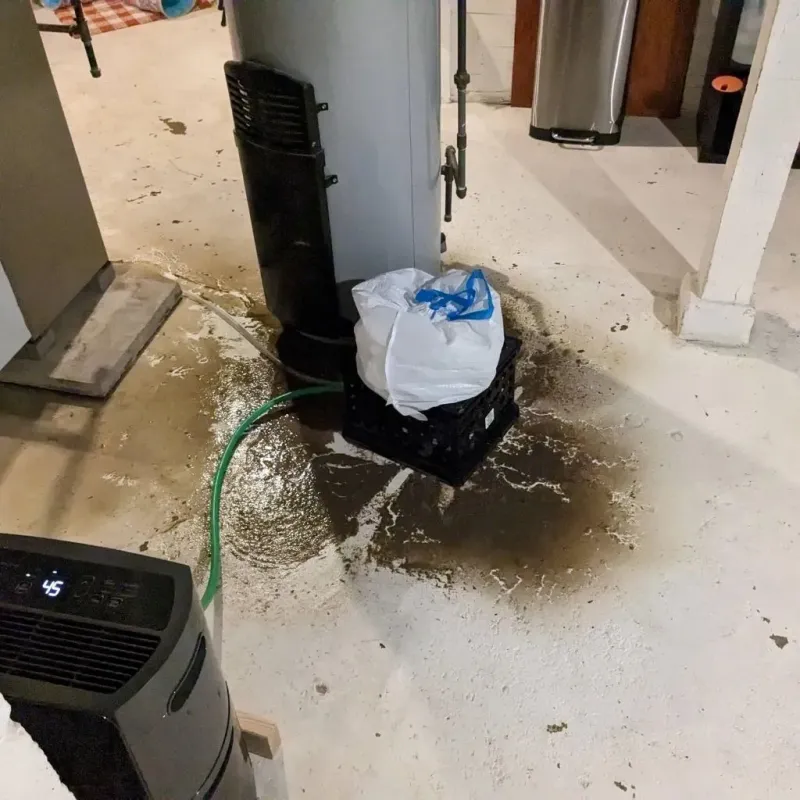 Sewage Backup Cleanup Service in Beaver, WV